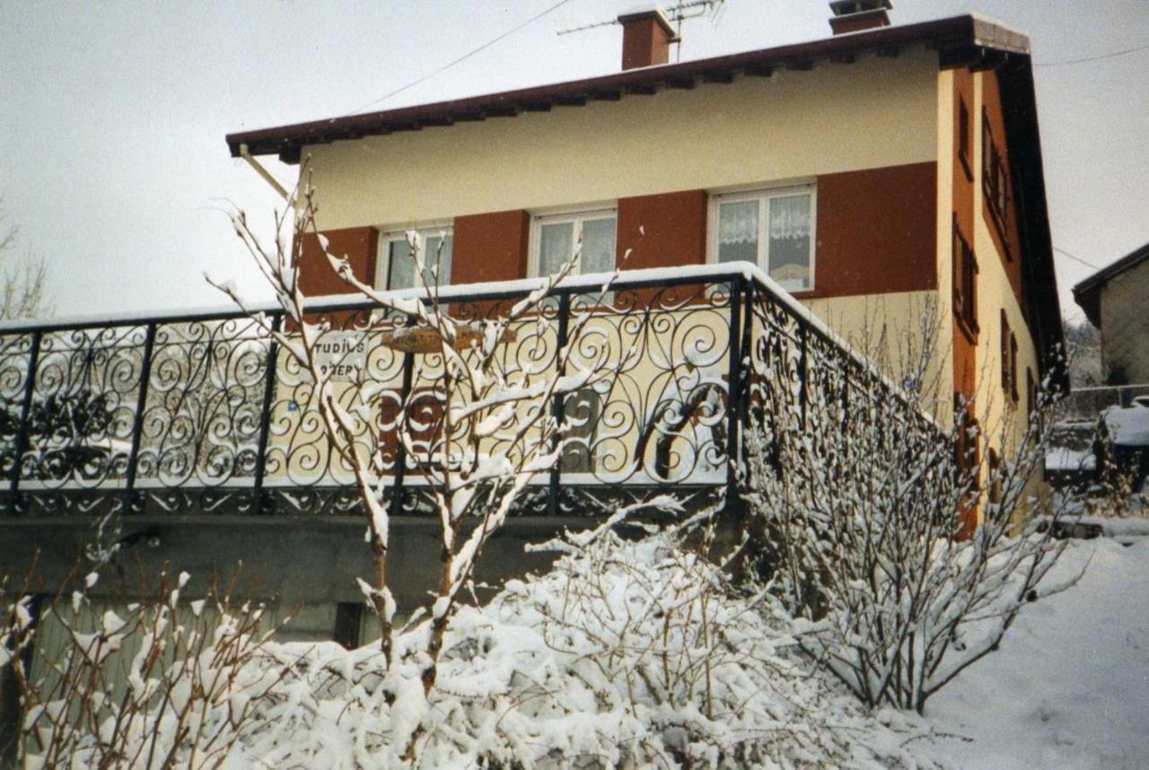 Studio Cosy Avec Vue Sur Lac Et Montagne A Gerardmer 30 M² Exterior foto